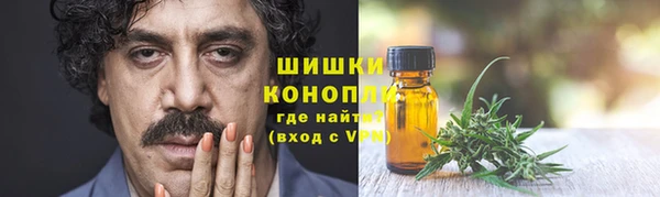 гашик Богородицк