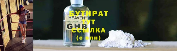 прущие грибы Заводоуковск