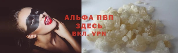 скорость Корсаков