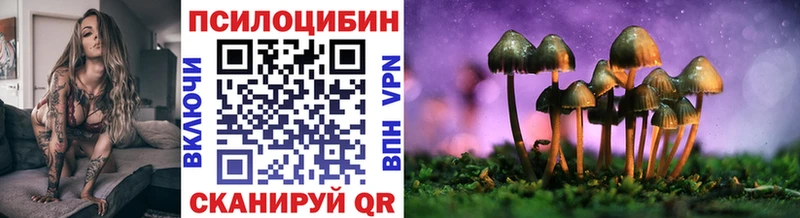 закладка  Кольчугино  OMG зеркало  Псилоцибиновые грибы Psilocybe 
